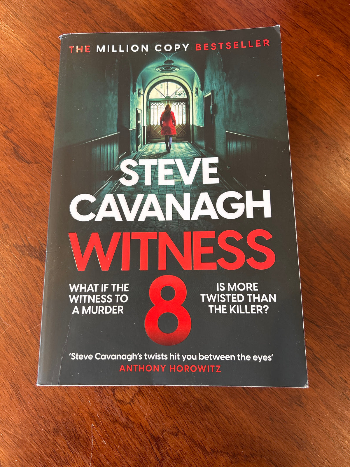 Witness 8. Steve Cavanaugh. 2024.