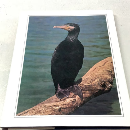 Australian water birds. Ted Schumann. 1982.