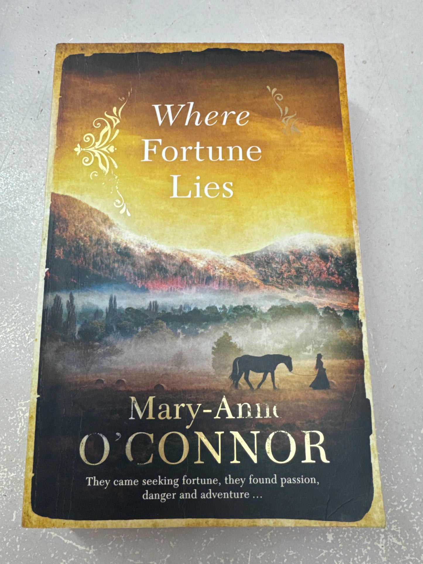 Where fortune lies. Mary-Anne O’Connor. 2021.