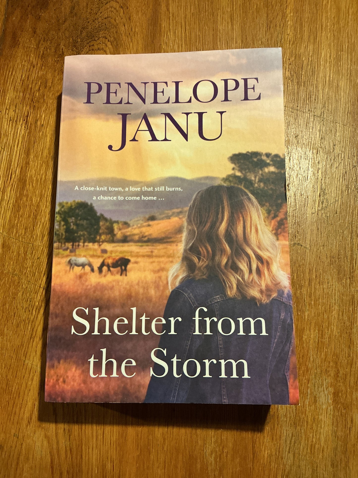 Shelter from the storm. Penelope Janu. 2023.