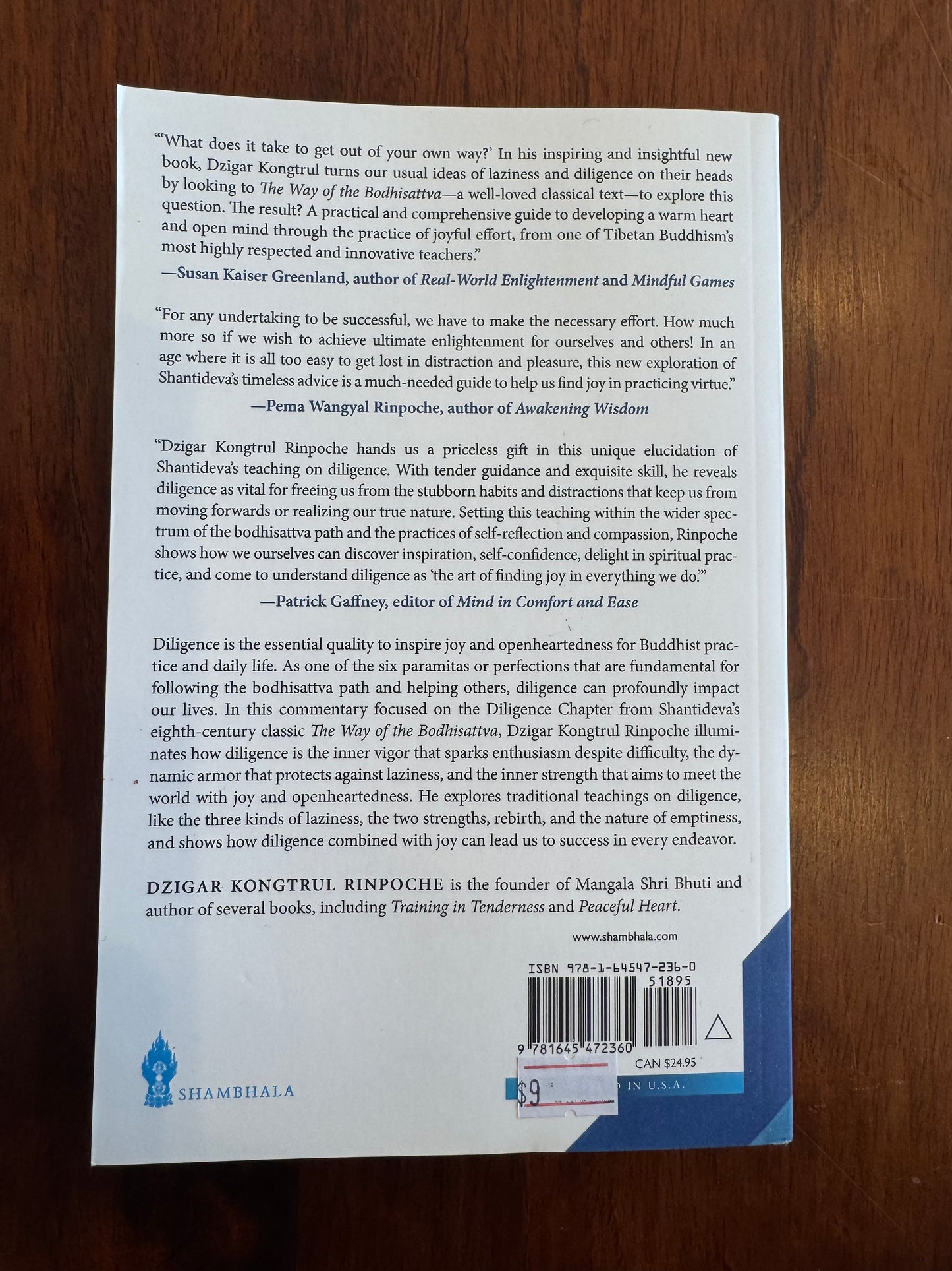 Diligence. Dzigar Kongtrul. 2024.
