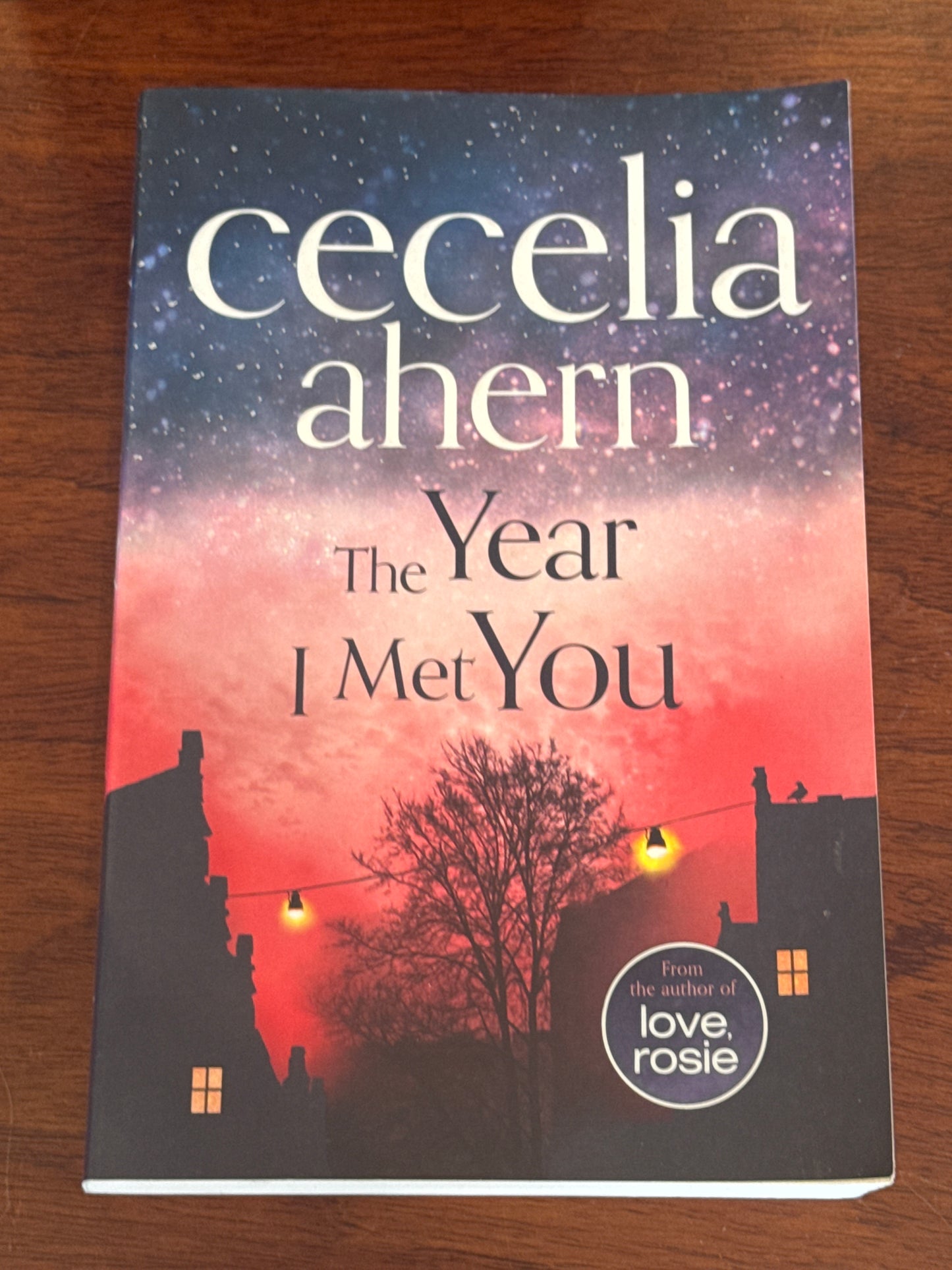 Year I met you.  Cecelia Ahern. 2014.