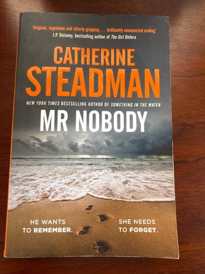 Mr Nobody. Catherine Steadman. 2020.