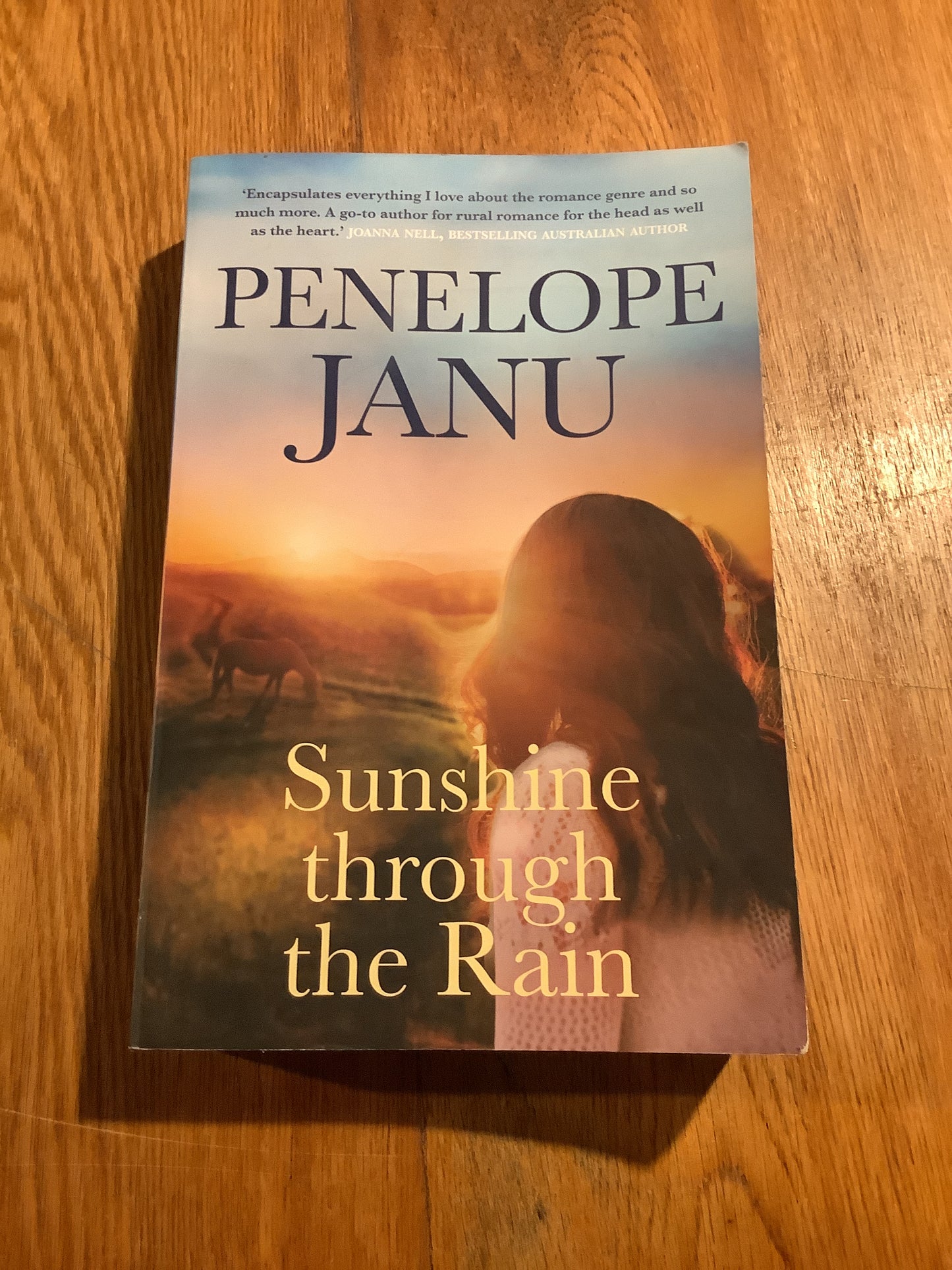 Sunshine through the rain. Penelope Janu. 2023.