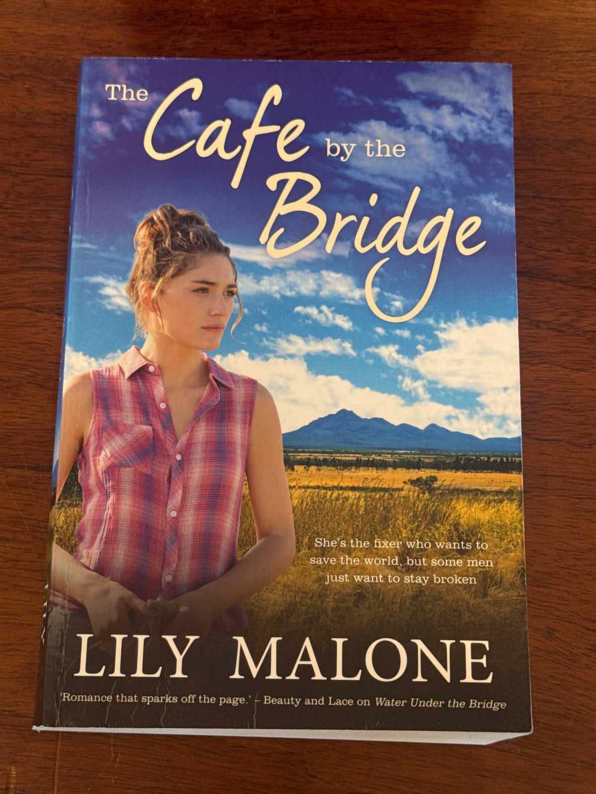 Cafe by the bridge. Lily Malone. 2019.