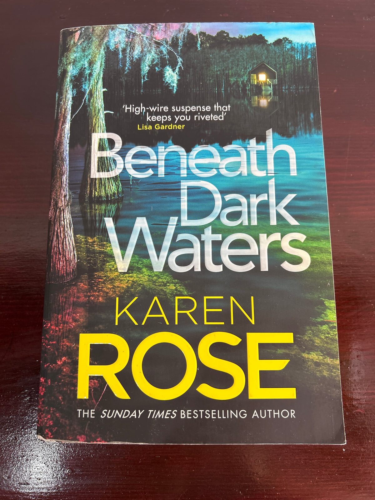 Beneath dark waters. Karen Rose. 2023.