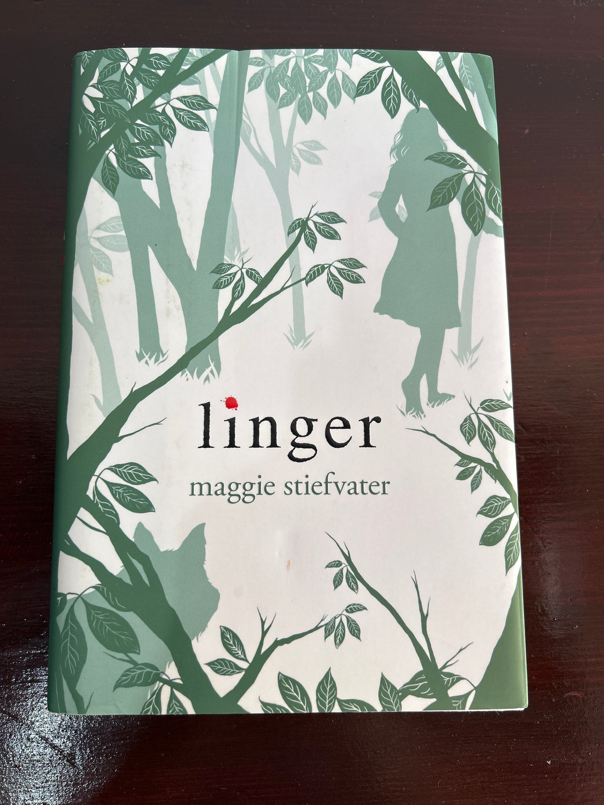 Linger. Maggie Stiefvater. 2010.