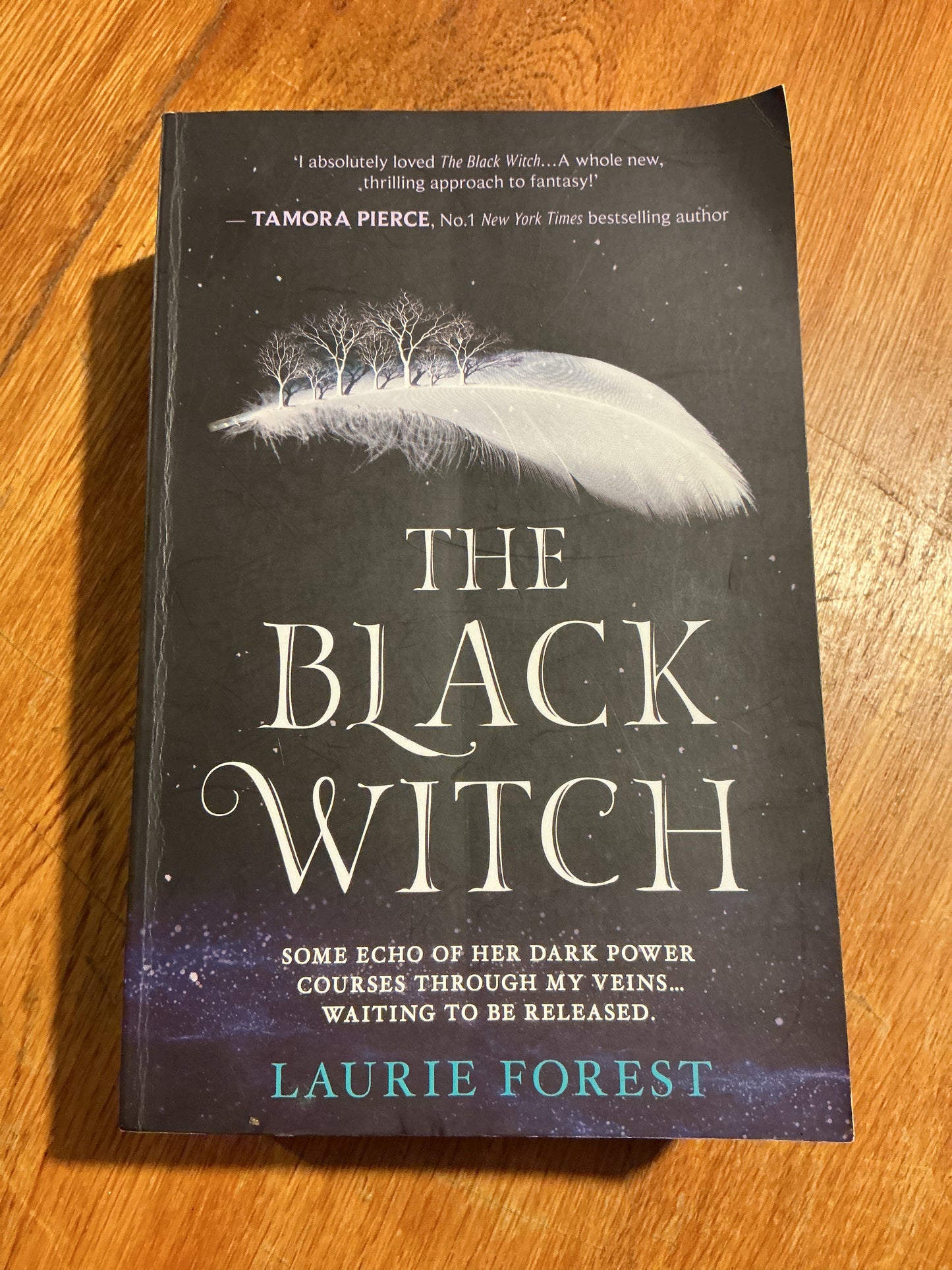 Black witch. Laurie Forest. 2017.