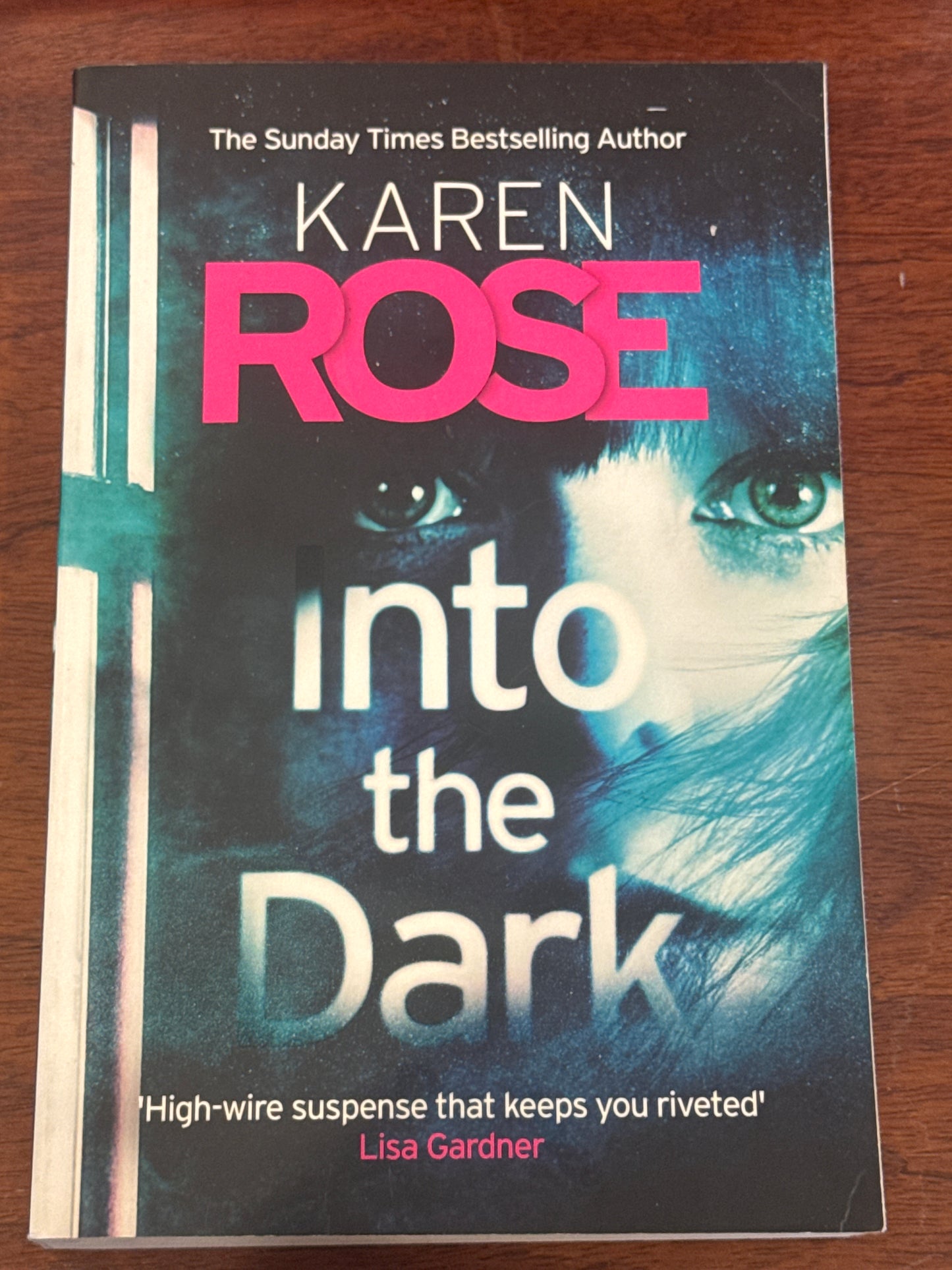 Into the dark. Karen Rose. 2019.