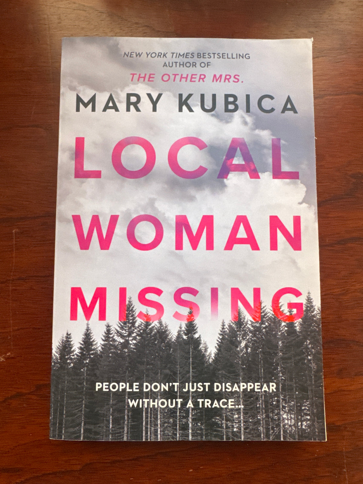 Local woman missing. Mary Kubica. 2025.