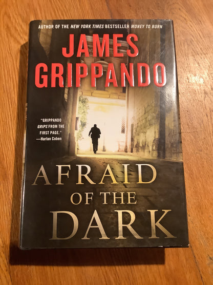 Afraid of the dark. James Grippando. 2011.