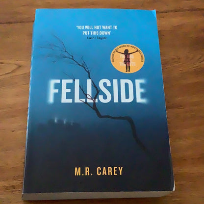 Fellside. M. R. Carey. 2016.