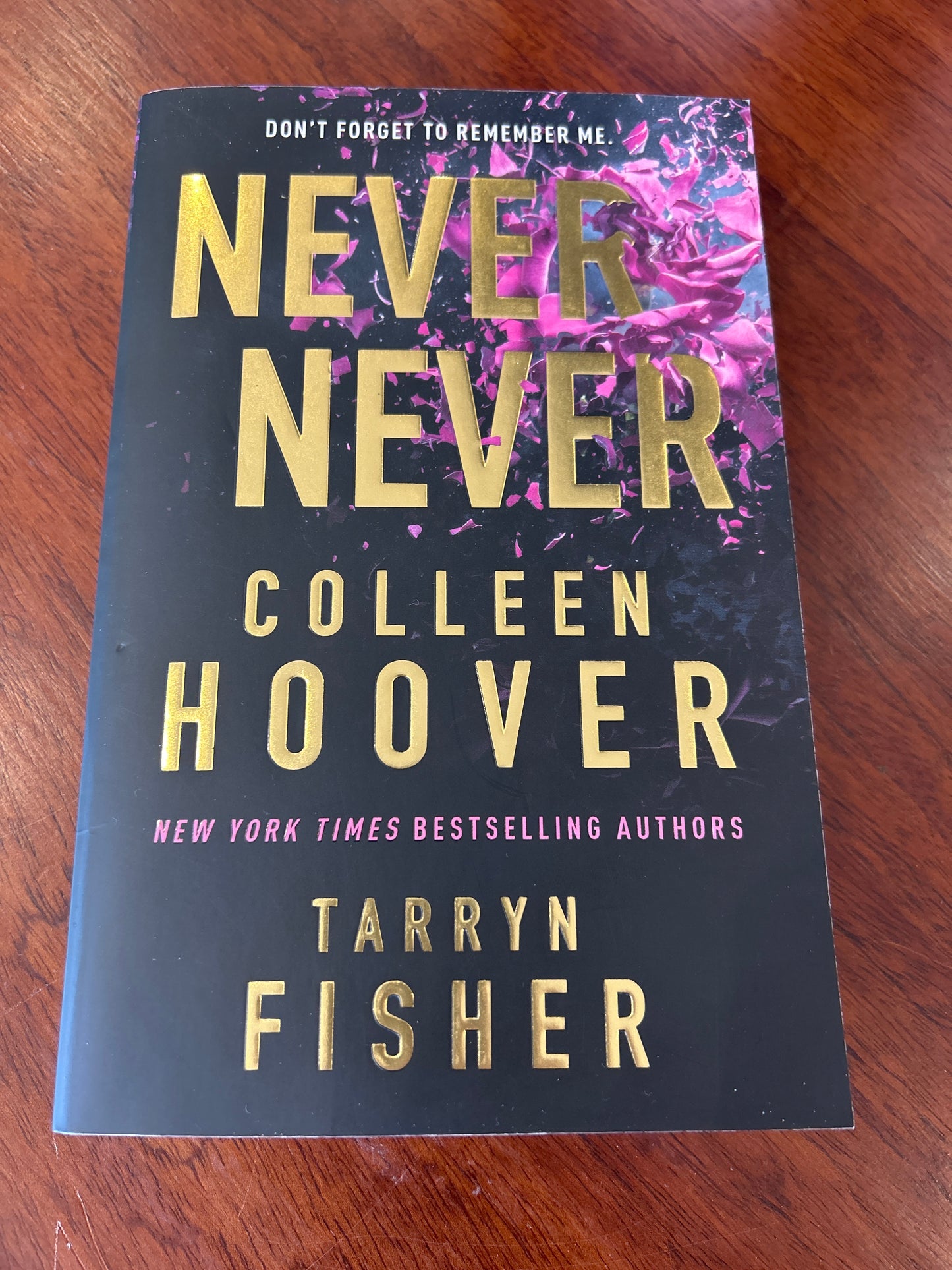 Never never. Colleen Hoover & Tarryn Fisher. 2023.