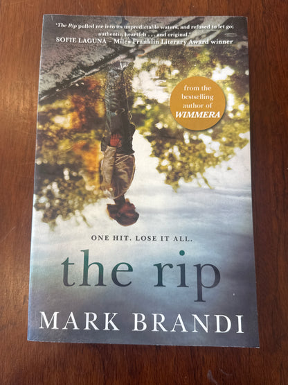 The Rip. Mark Brandi. 2019.