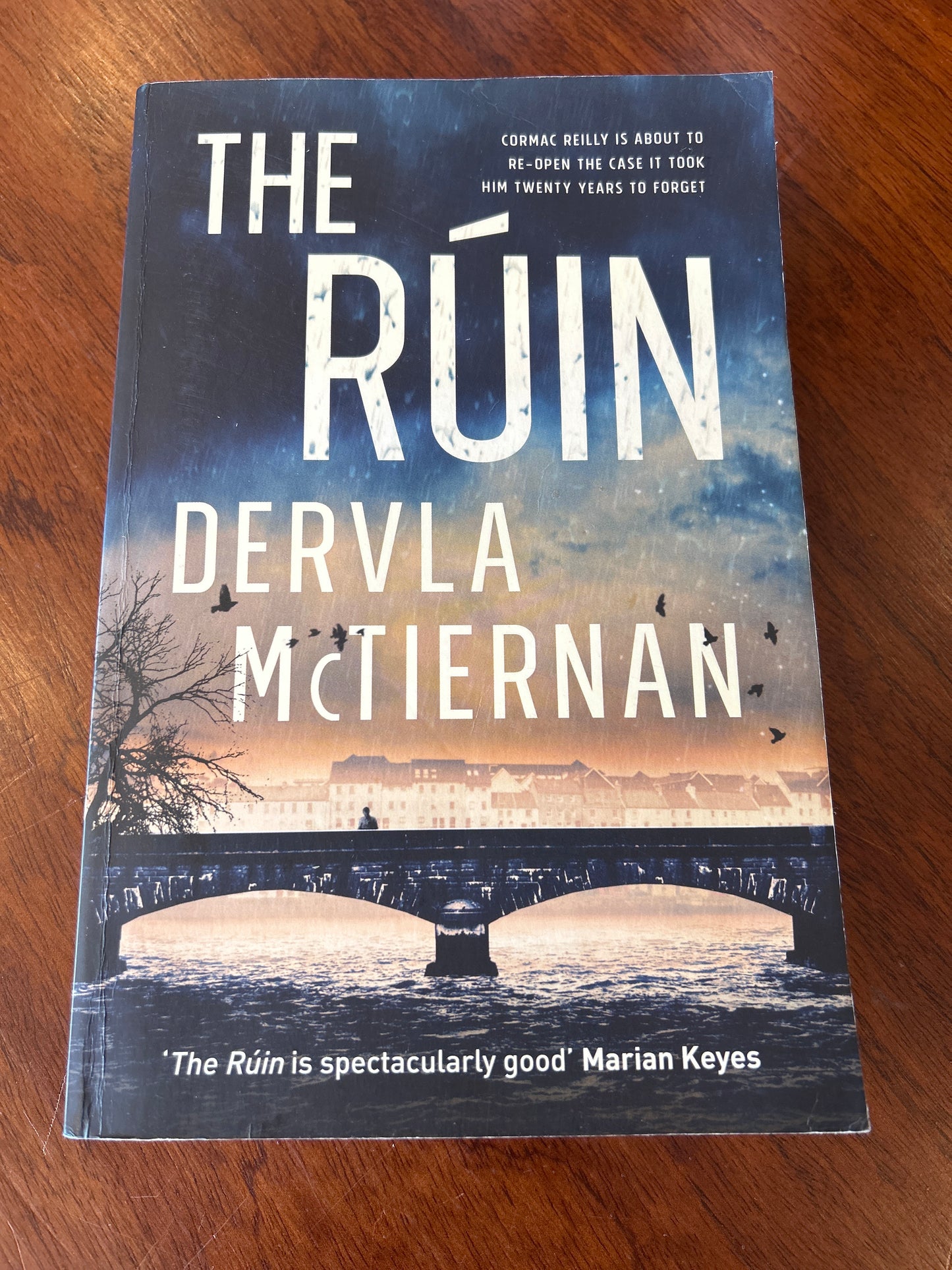 The Ruin. Dervla McTiernan. 2018.