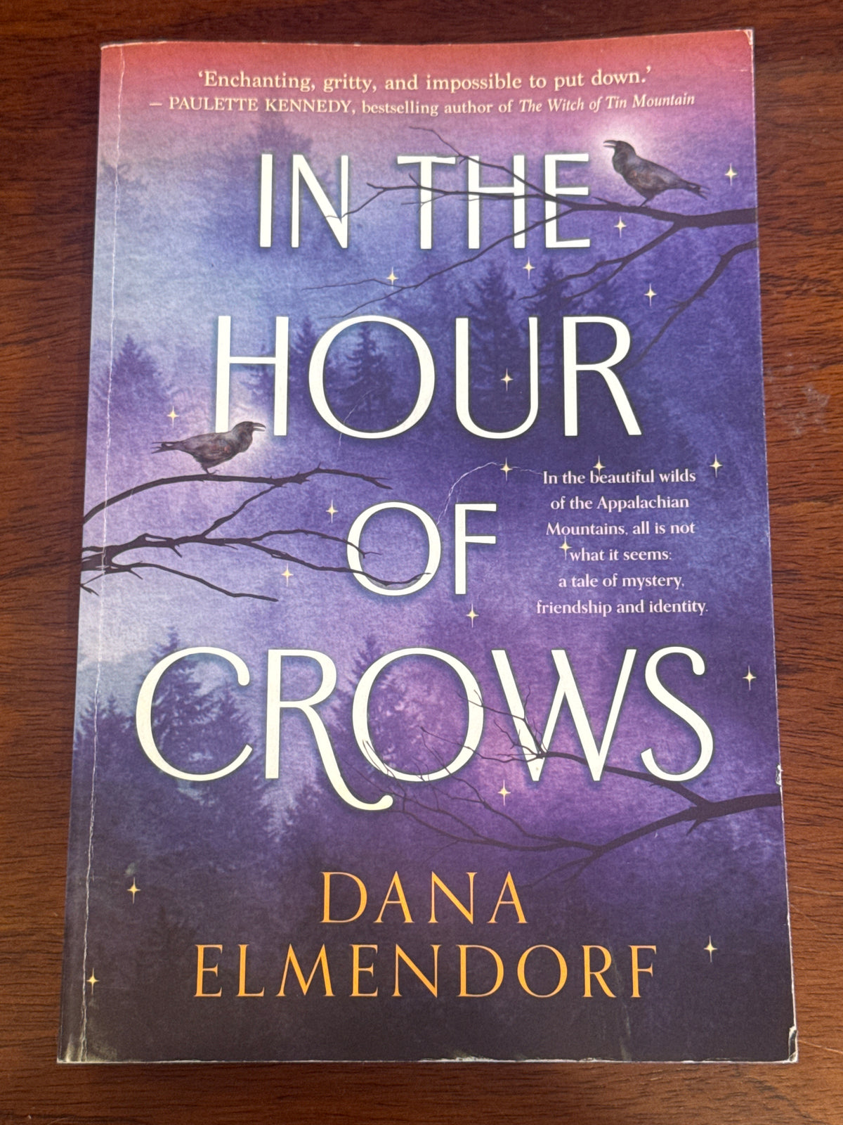 In the hour of crows. Dana Elmendorf. 2025.