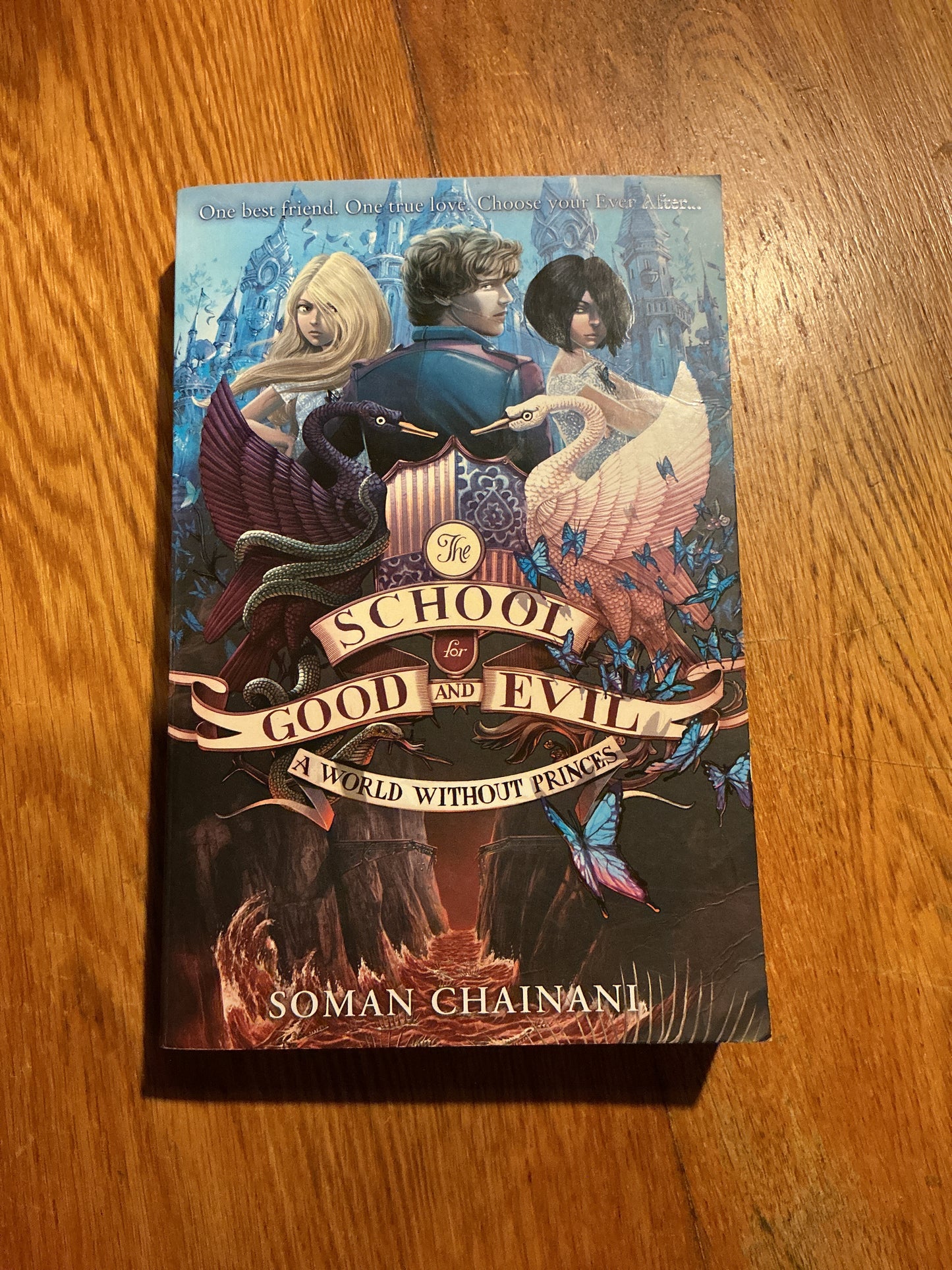 School for good and evil: a world without princes. Soman Chainani. 2014.