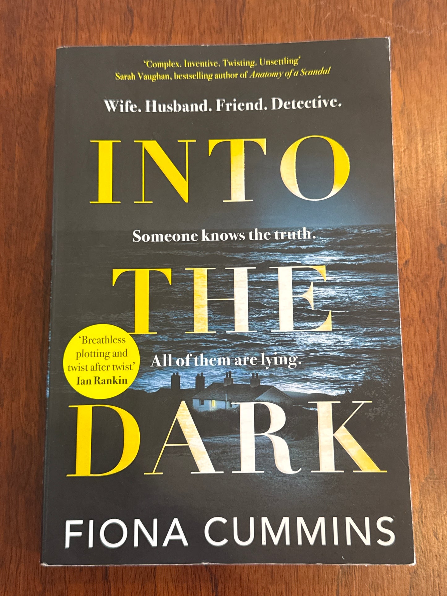 Into the dark. Fiona Cummins. 2022.