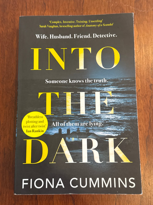 Into the dark. Fiona Cummins. 2022.