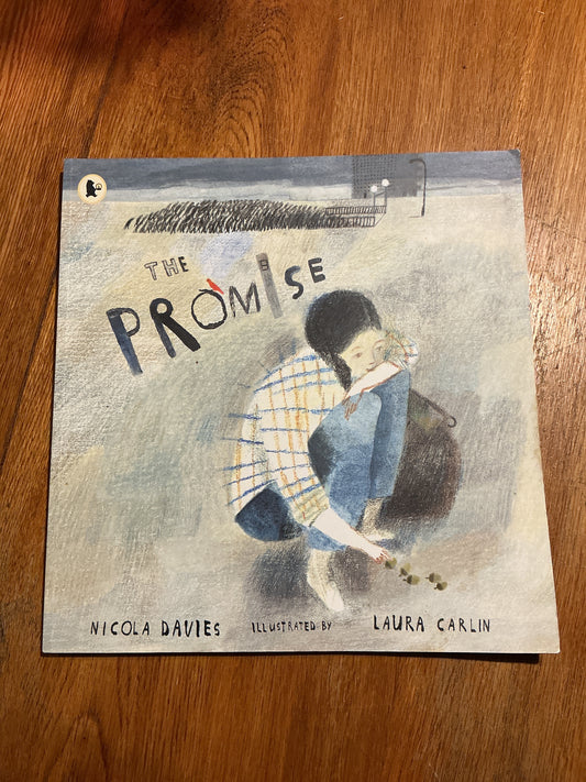 Promise. Nicola Davies. 2014.