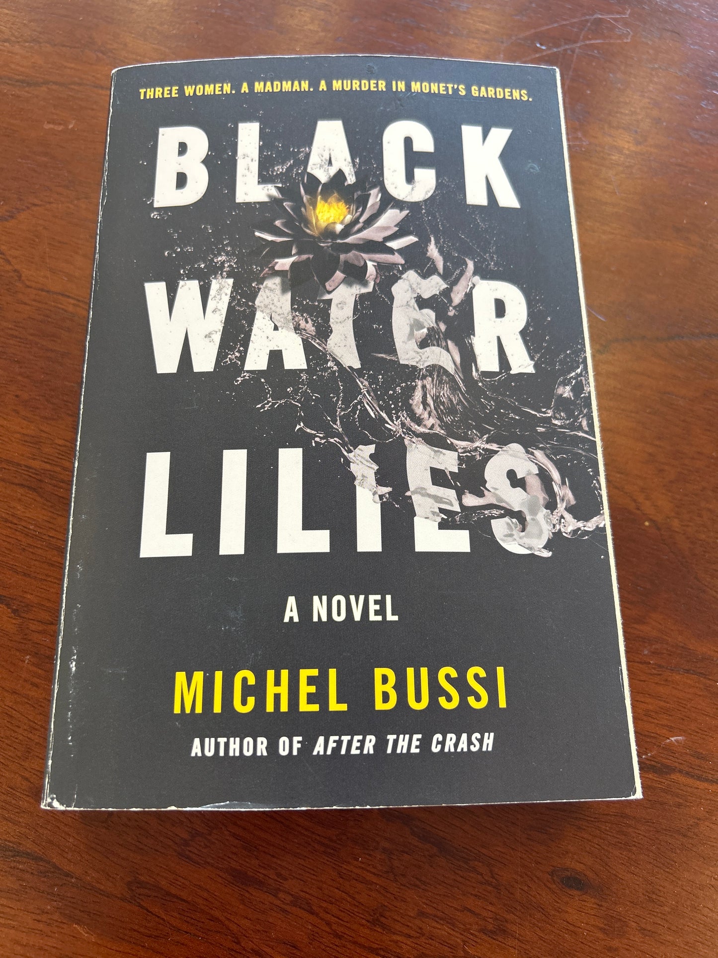 Black water lillies. Michel Bussi. 2017.