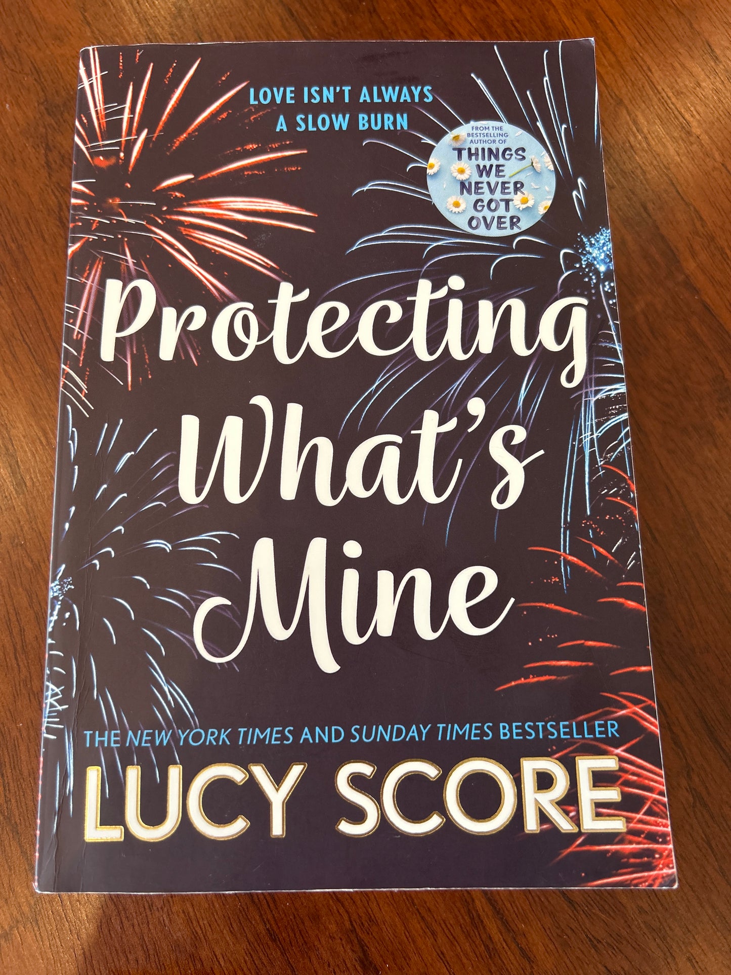 Protecting what’s mine. Lucy Score. 2023.