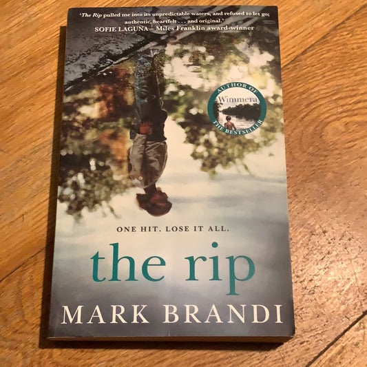 The Rip. Mark Brandi. 2019.