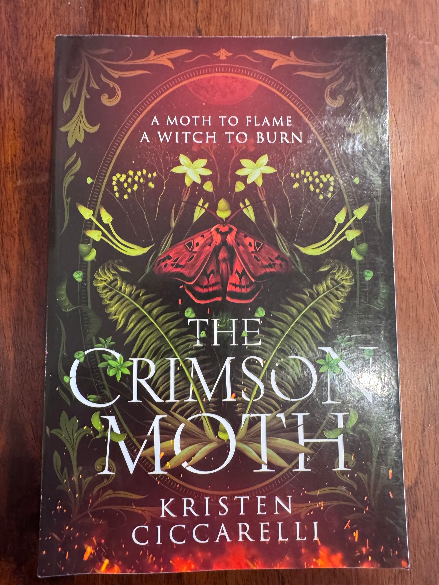 Crimson moth. Kristen Ciccarelli. 2024.