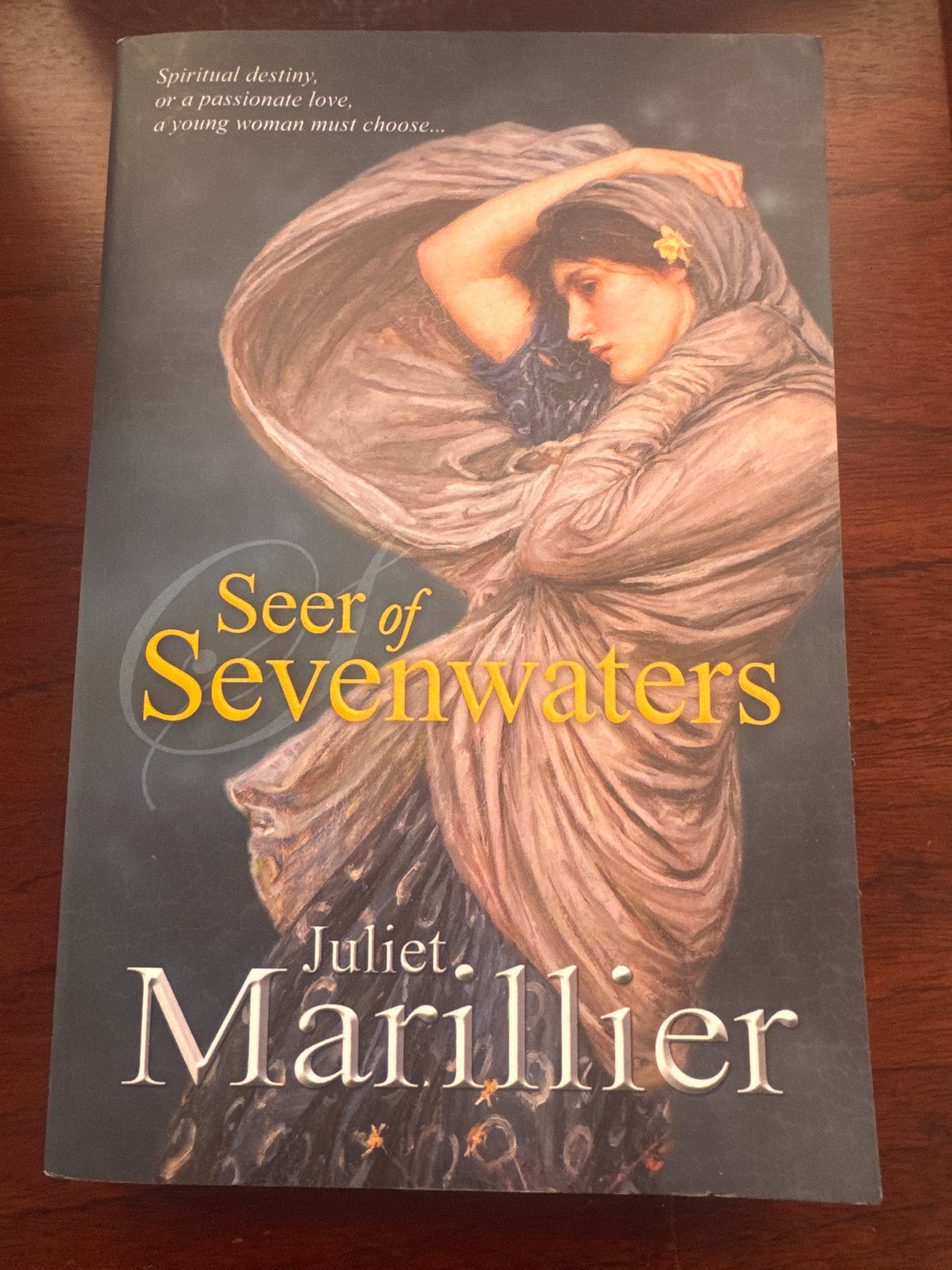 Seer of Sevenwaters. Juliette Marillier. 2010.