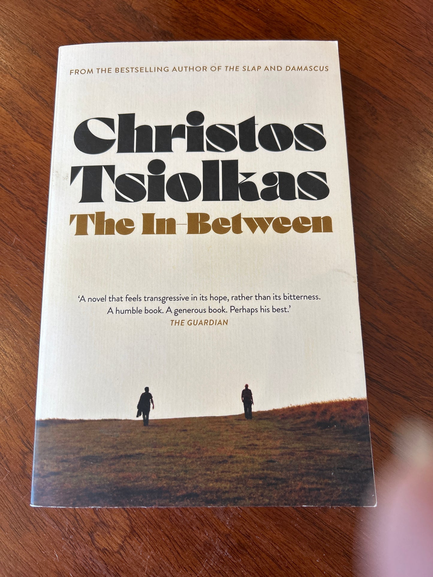 The In-Between. Christian Tsiolkas. 2024.