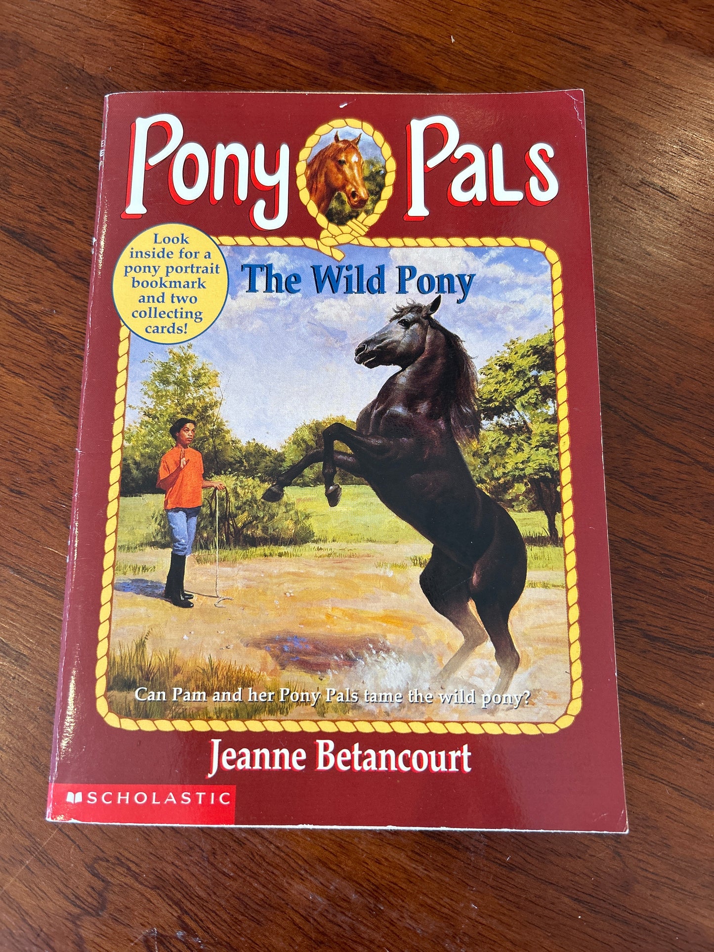 Wild pony. Jeanne Betancourt. 1996.