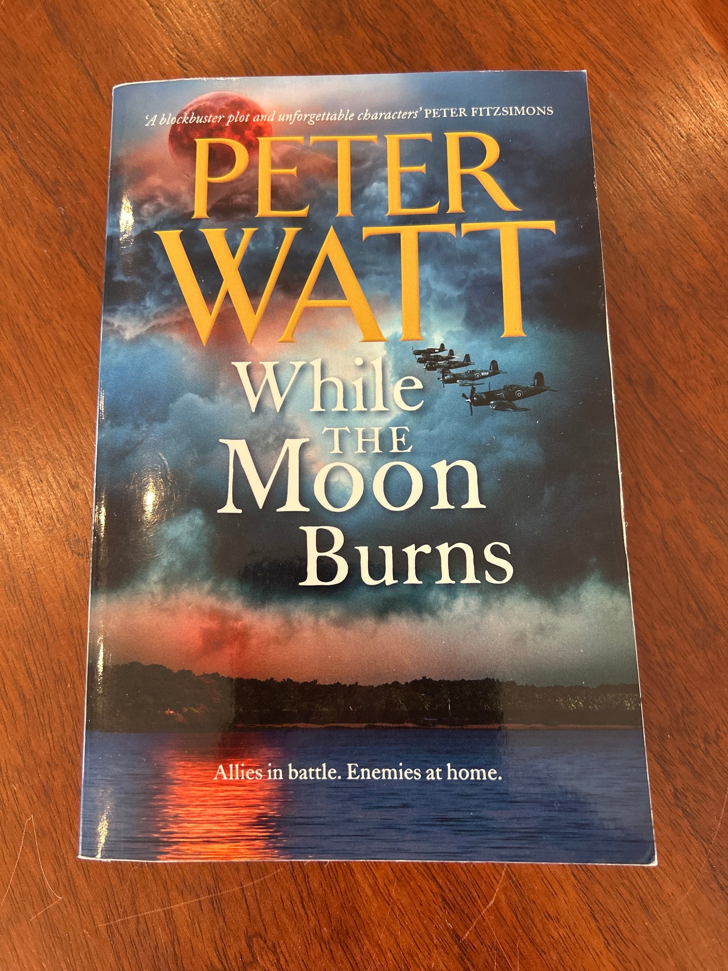 While the moon burns. Peter Watt. 2017.