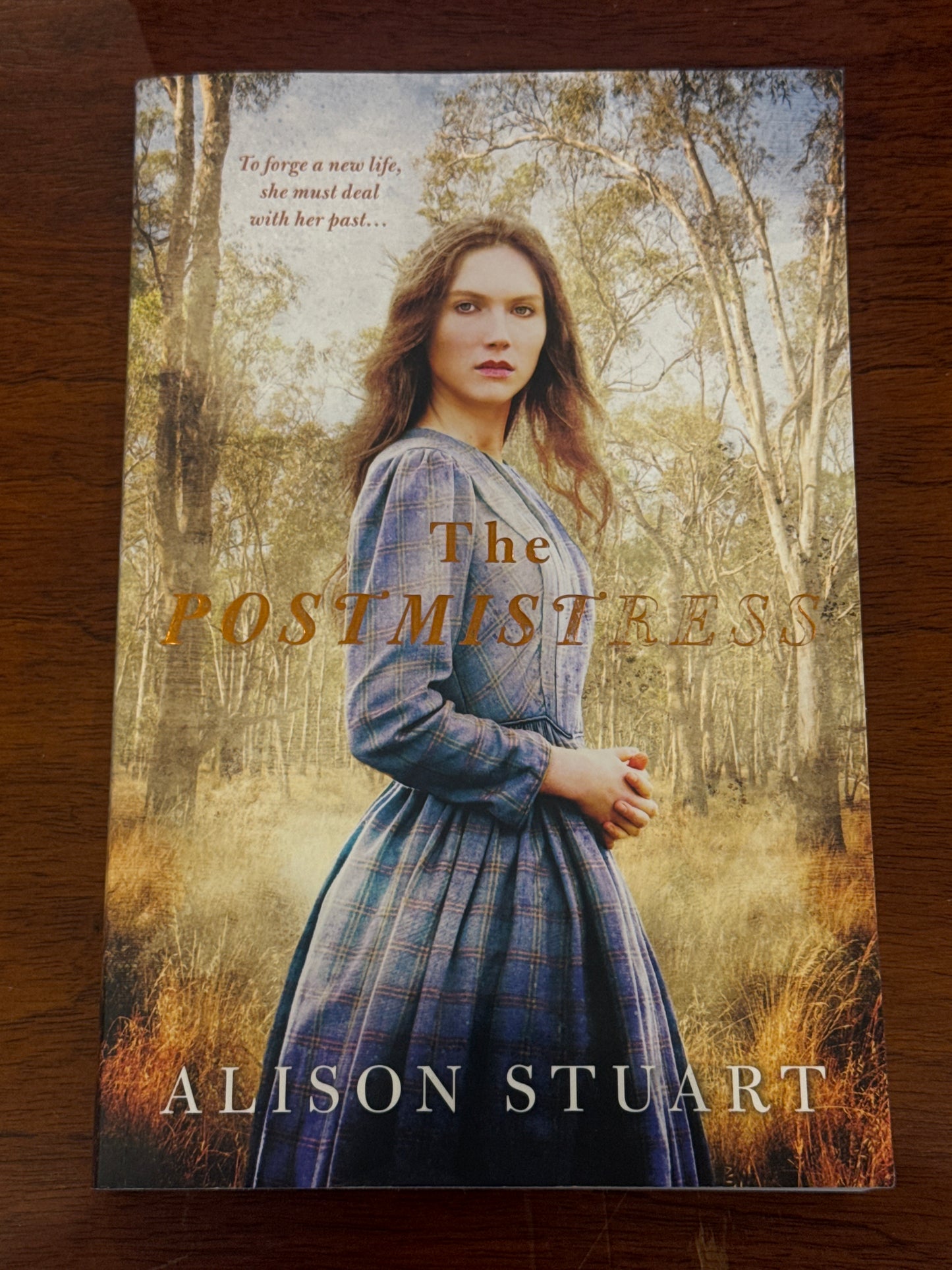 The Postmistress. Alison Stuart. 2019.