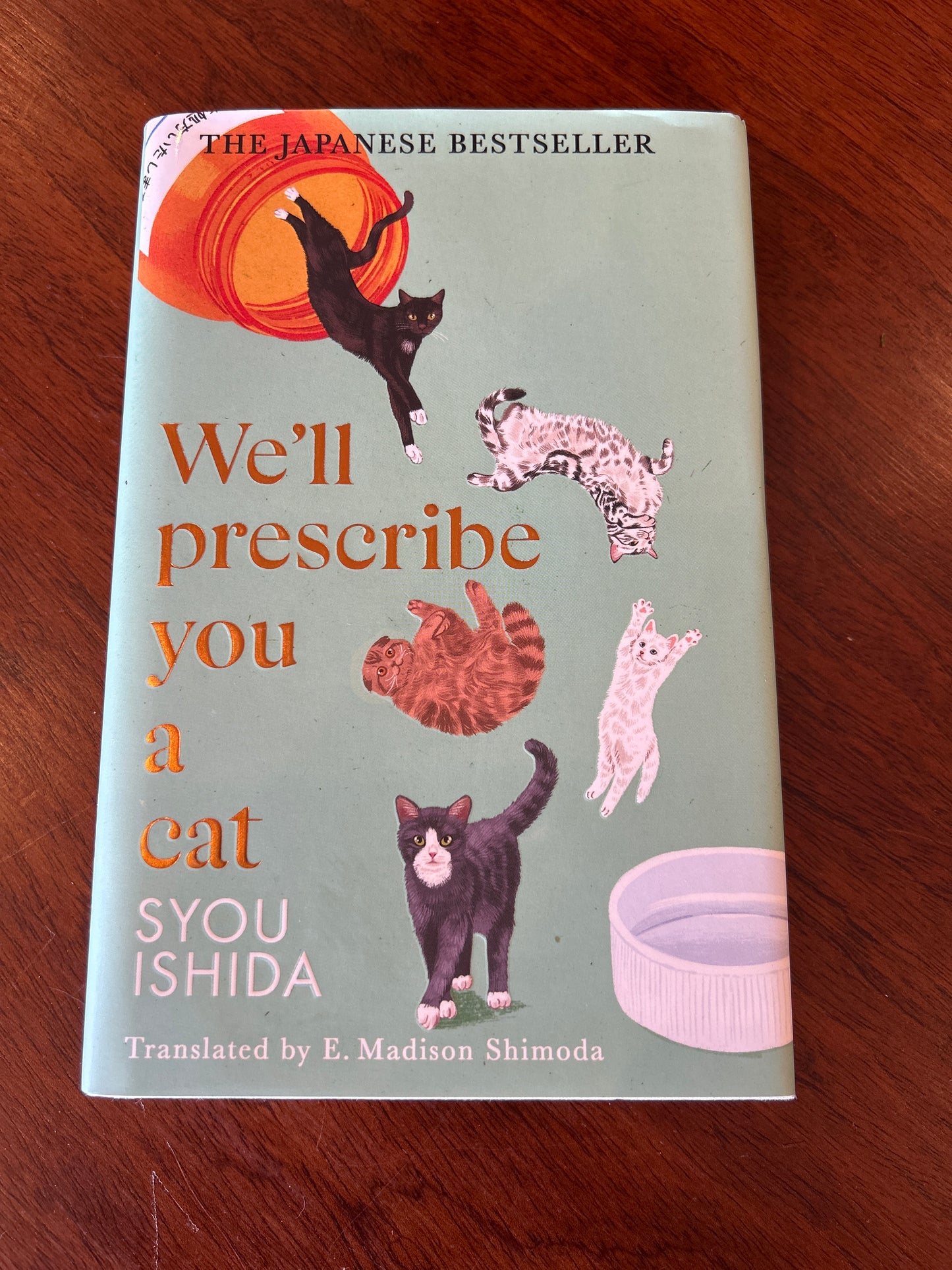 We’ll prescribe you a cat. Syou Ishida. 2024.