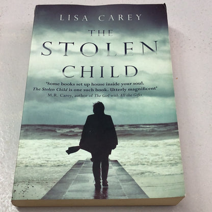 Stolen child. Lisa Carey. 2017.