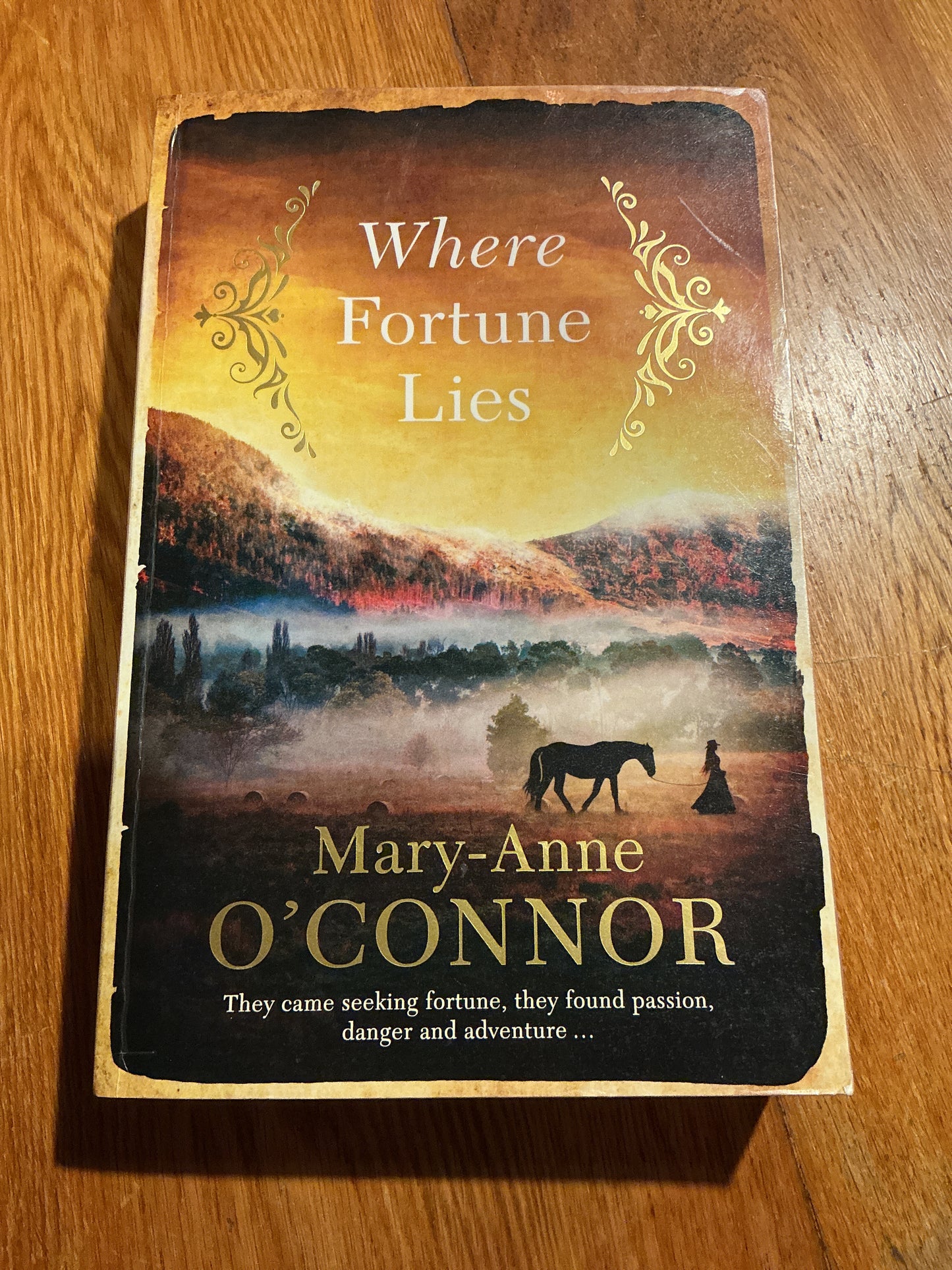 Where fortune lies. Mary-Anne O’Connor. 2020.
