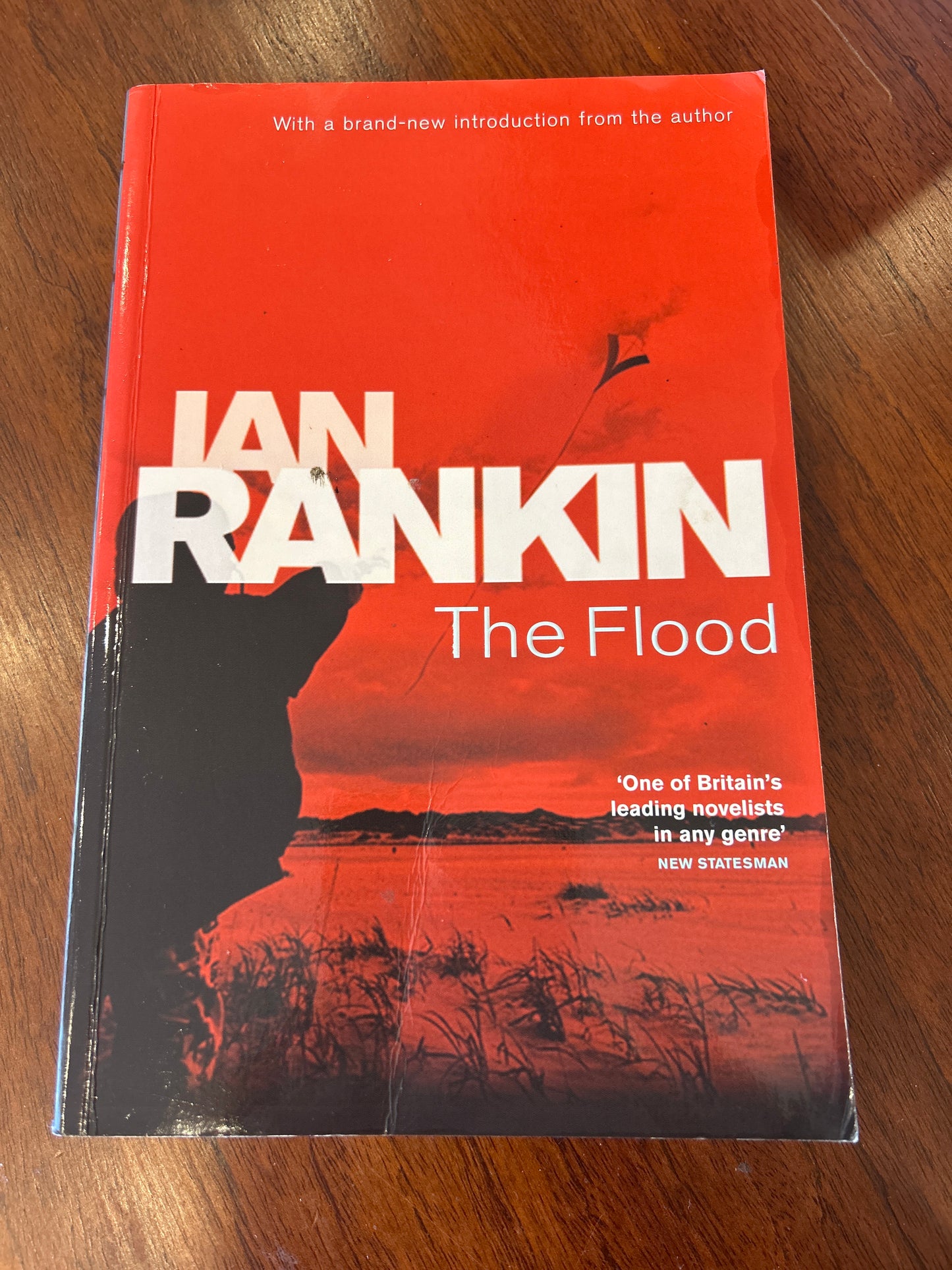 Flood. Ian Rankin. 2005.