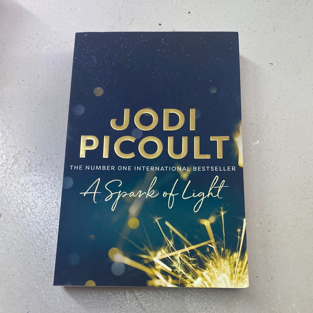 Spark of light. Jodi Picoult. 2018.