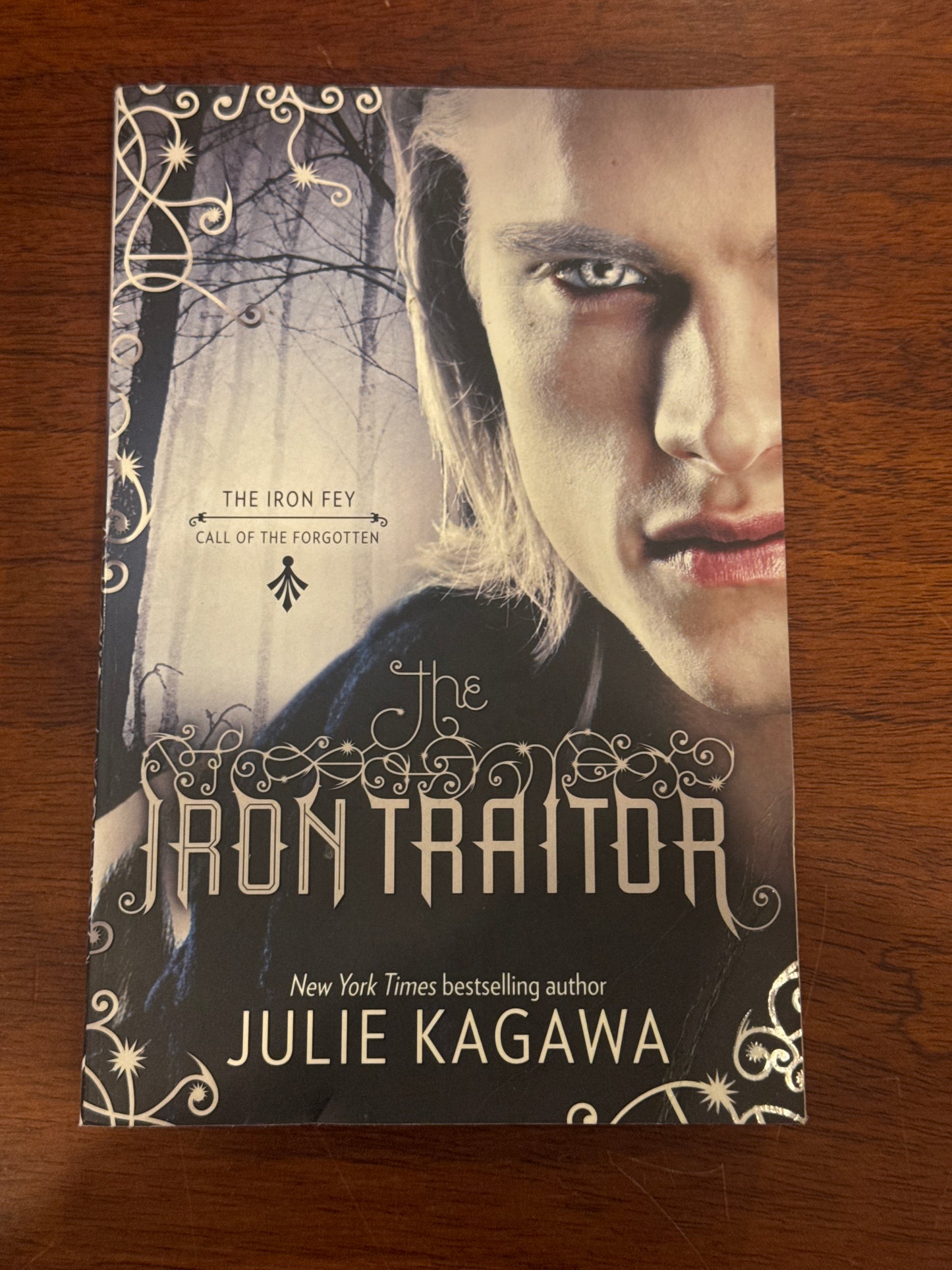 Iron traitor. Julie Kagawa. 2013.