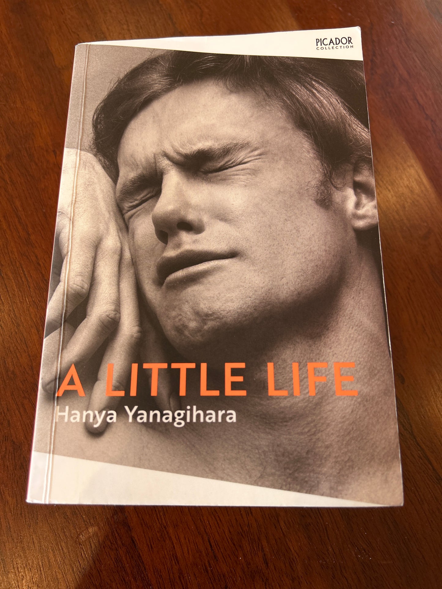 Little life. Hanya Yanagihara. 2022.