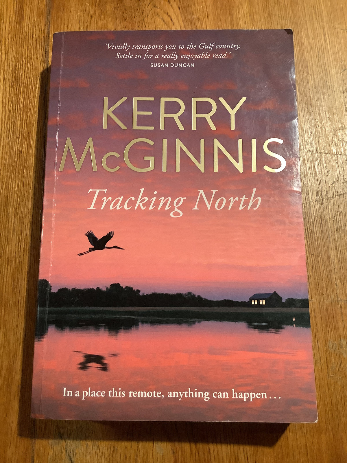 Tracking north. Kerry McGinnis. 2014.