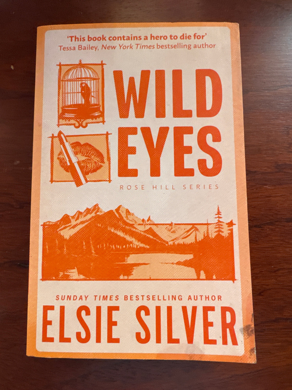Wild eyes. Elsie Silver. 2024.