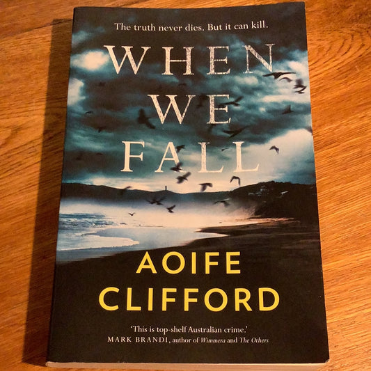 When we fall. Aoife Clifford. 2022.