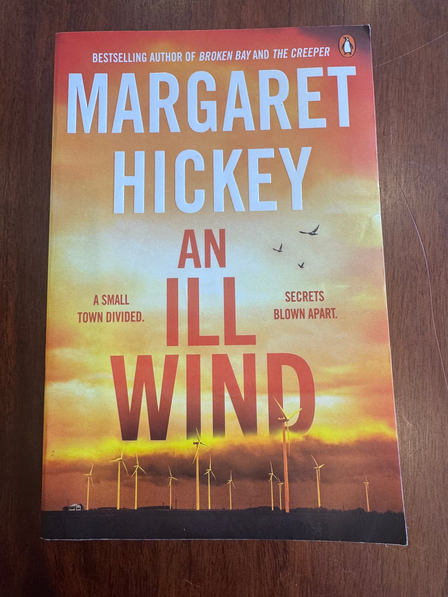 An ill wind. Margaret Hickey. 2025.