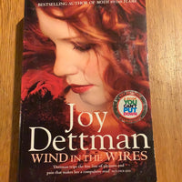 Wind in the wires. Joy Dettman. 2012.