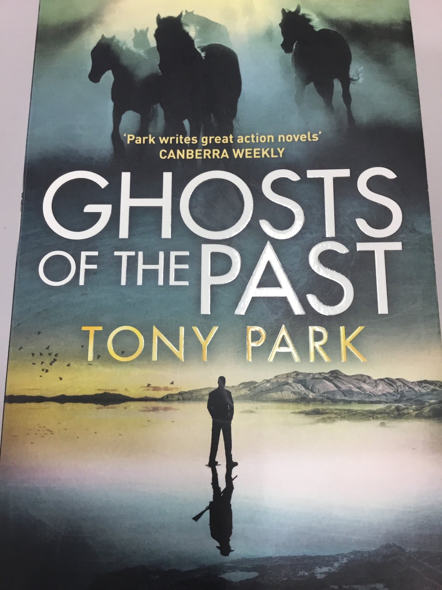 Ghosts of the past. Tony Park. 2019.