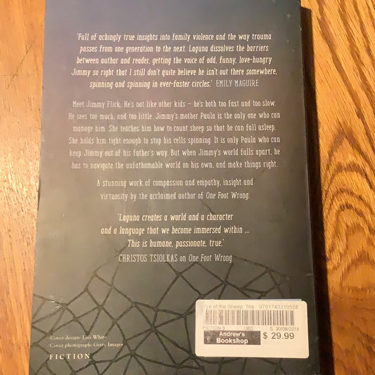 Eye of the sheep. Sofie Laguna. 2015.